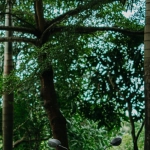 Мобильная игра Sweet Bonanza для отдыха водителей во время остановок