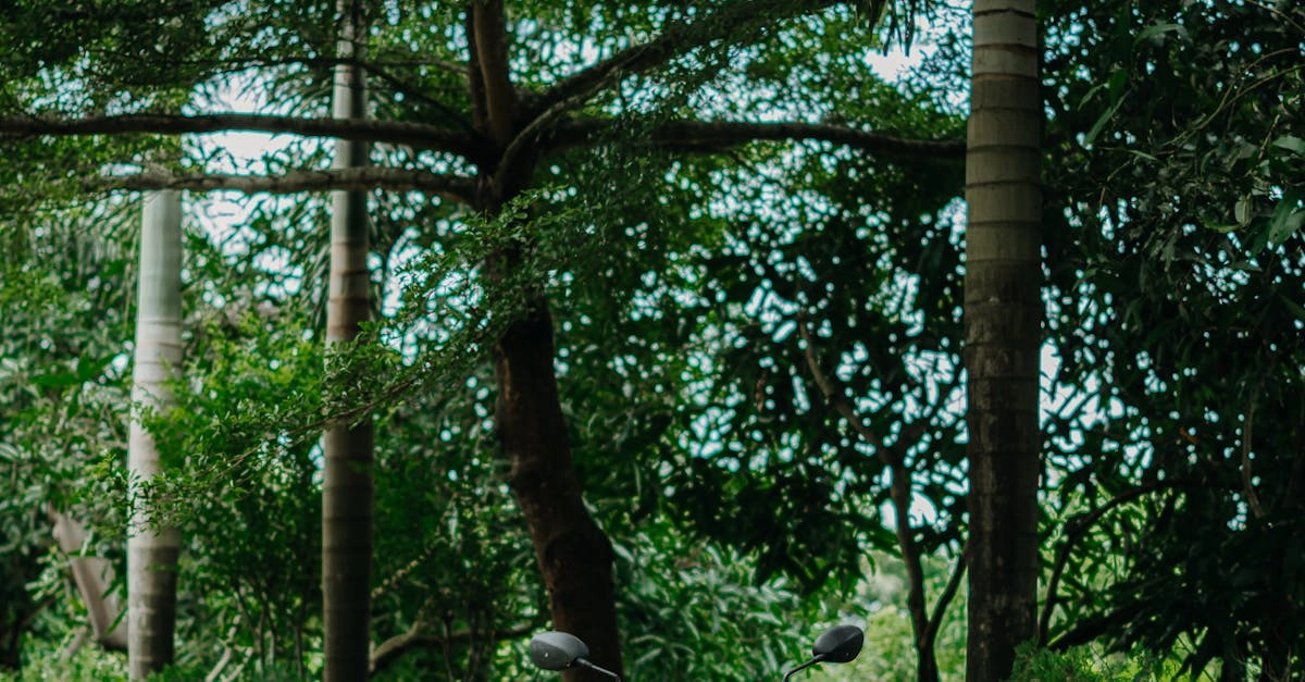 Мобильная игра Sweet Bonanza для отдыха водителей во время остановок