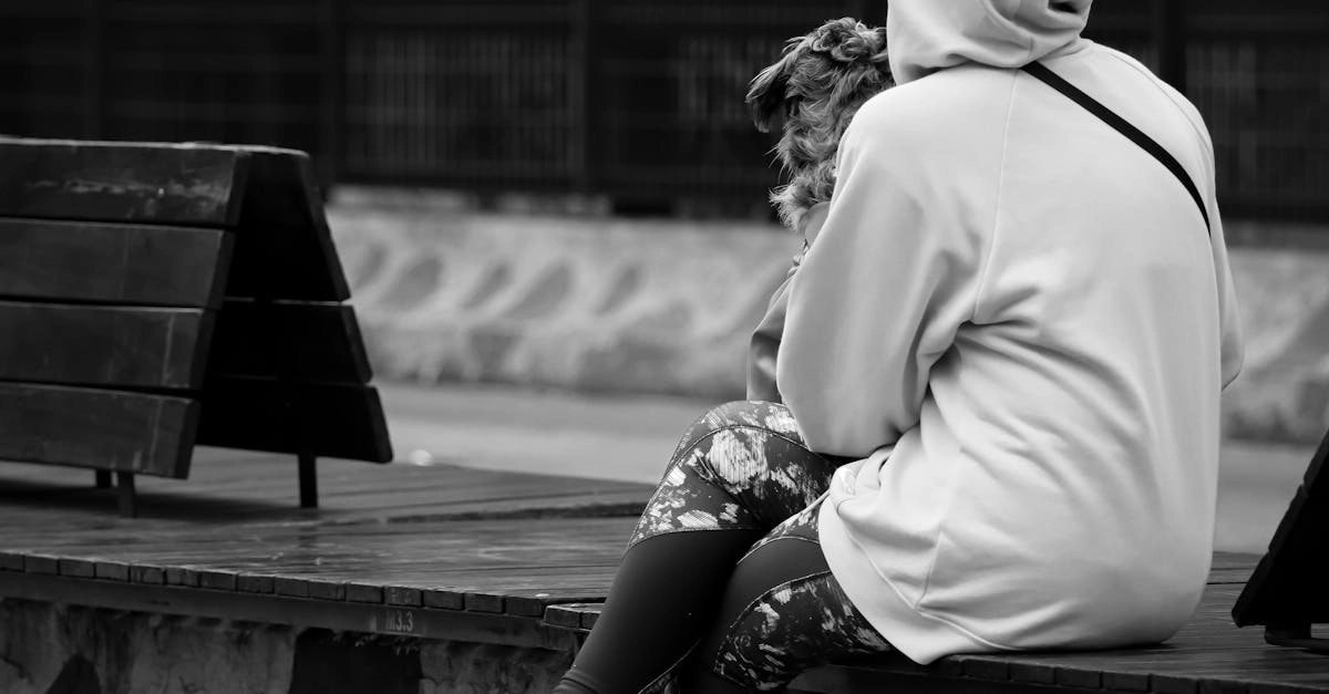 Программы лояльности казино для водителей и автолюбителей